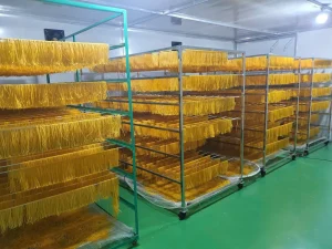 CHỌN LỌC NGUYÊN LIỆU
